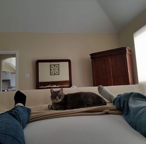 Meet your Posher, Brigitte